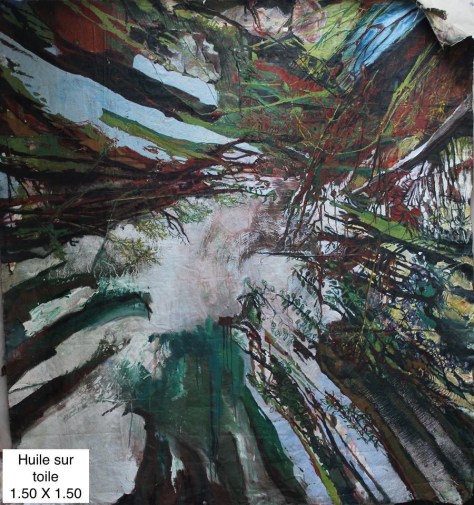 11193258_836001213119646_1225200839413557219_n - copie